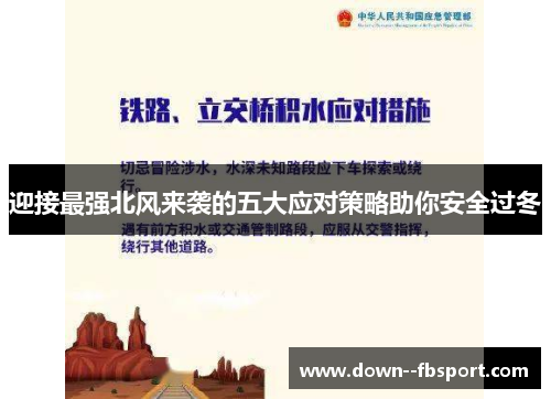 迎接最强北风来袭的五大应对策略助你安全过冬